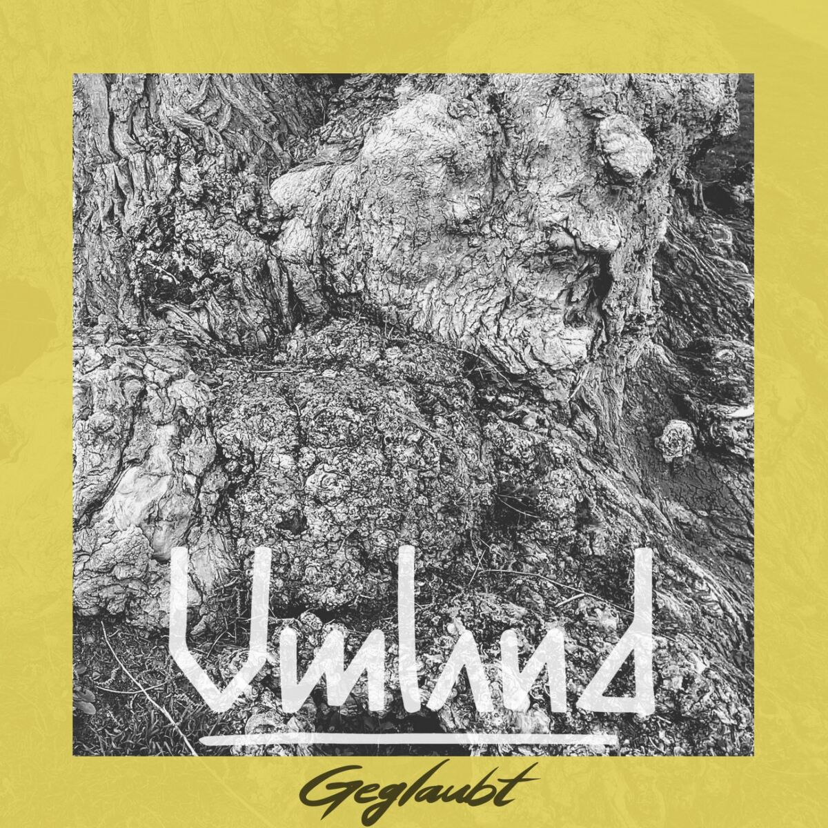 Album cover of Geglaubt