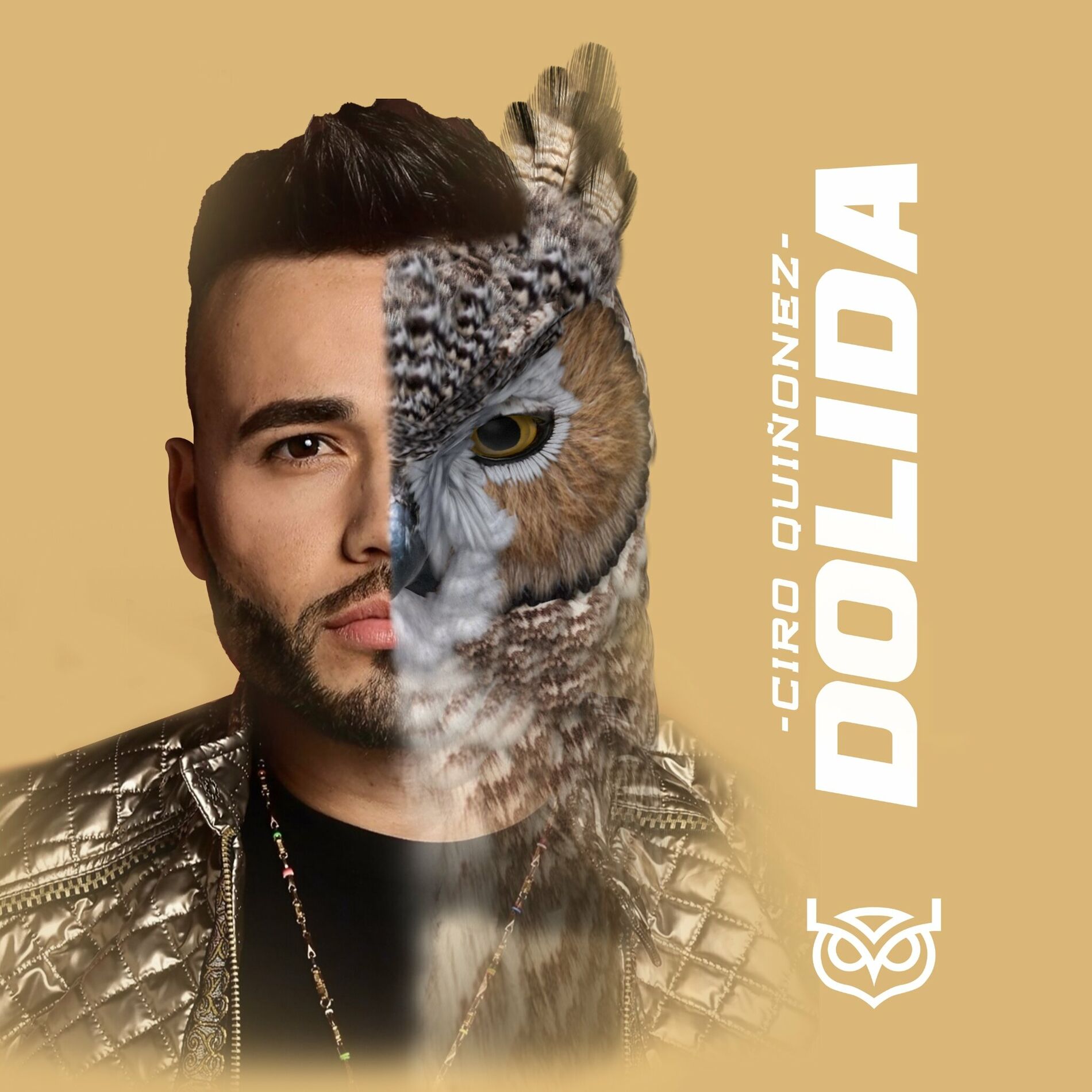 Album cover of Dolida