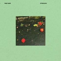 Cover of Fifteen Days