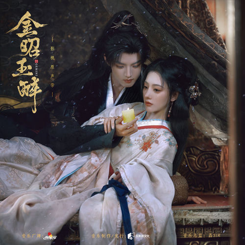 《金昭玉醉》影视原声带