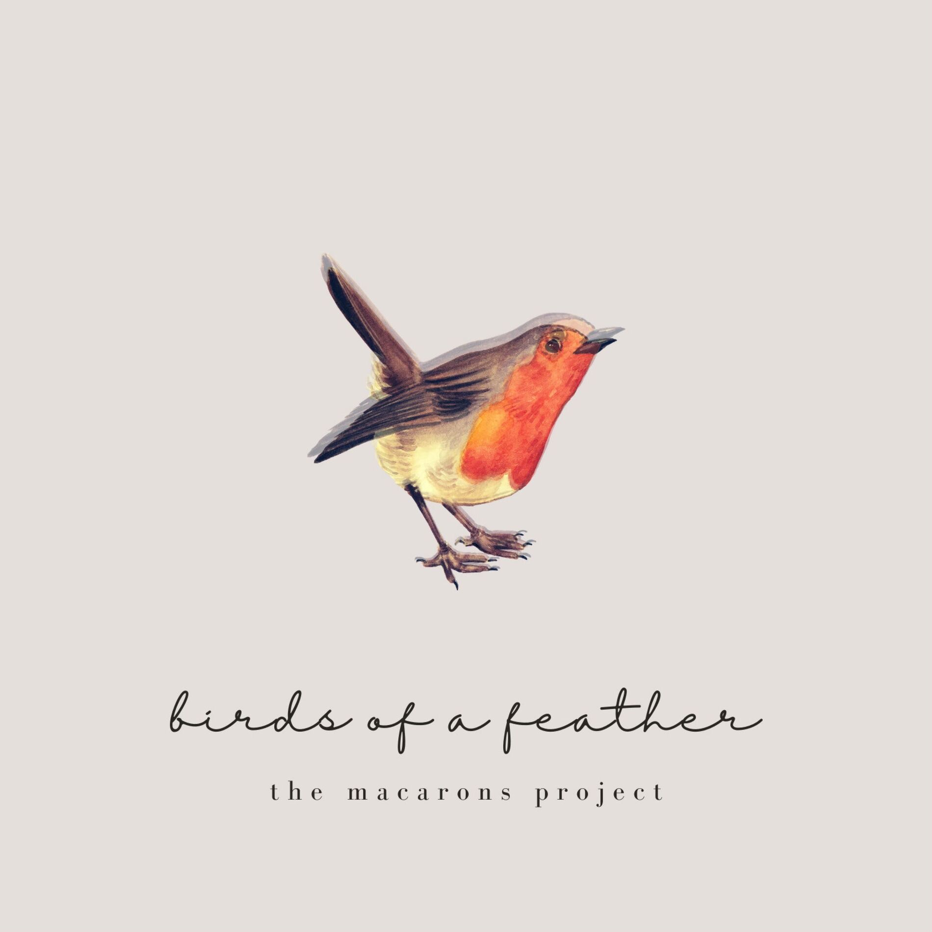 Album cover of birds of a feather (acoustic)