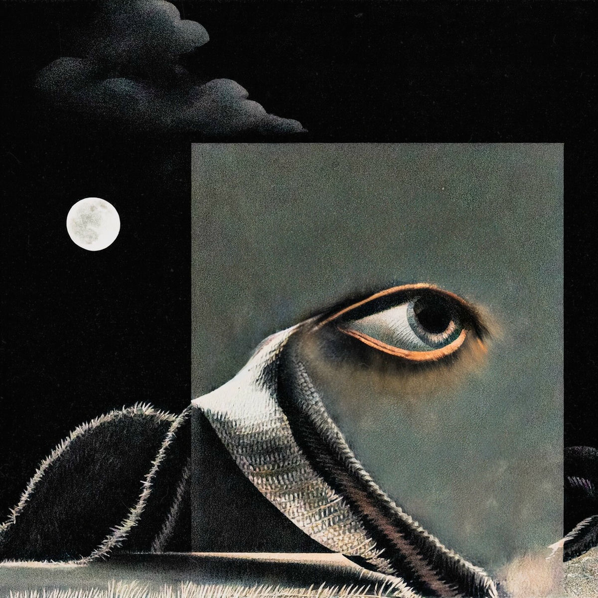 Album cover of pornography