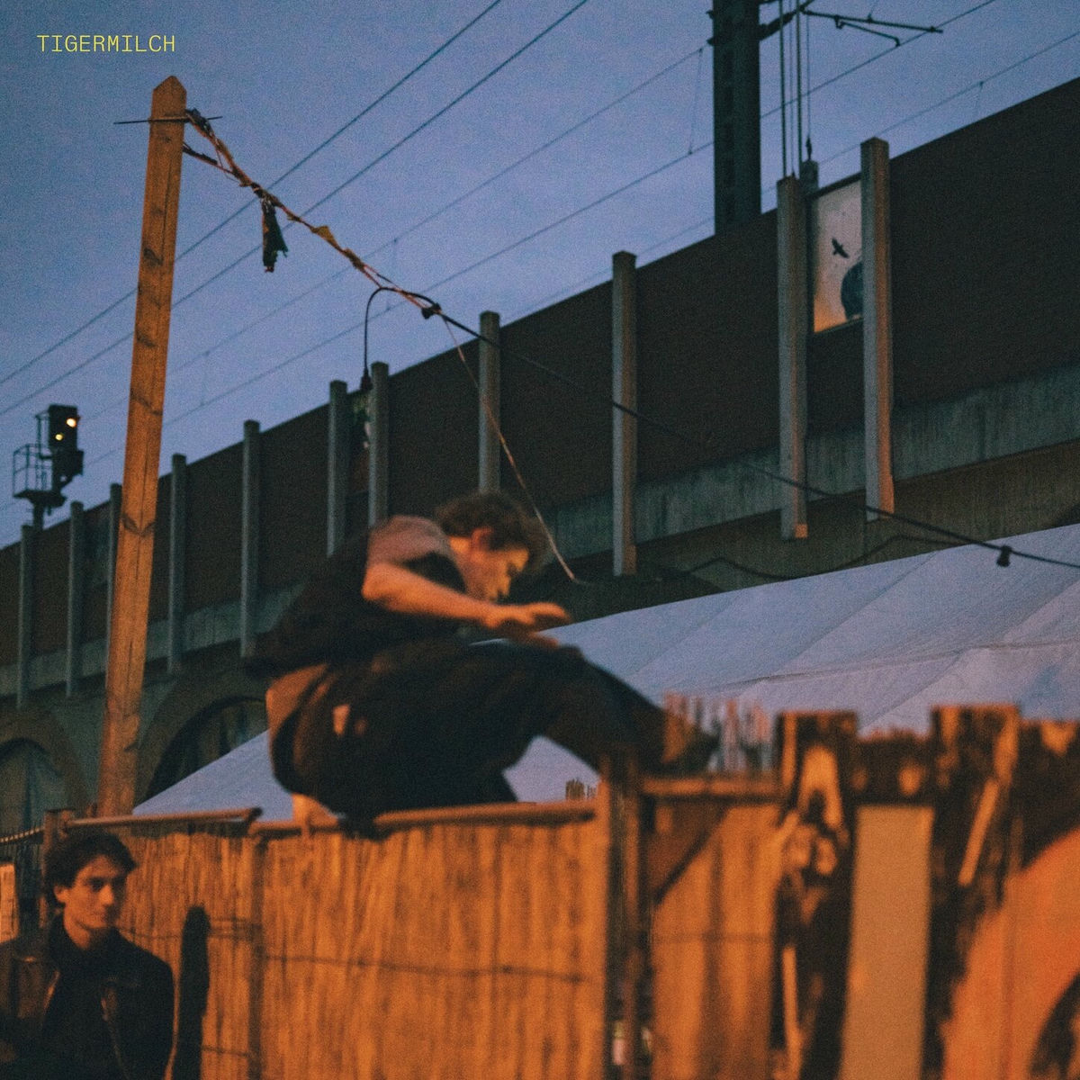 Album cover of Halbtrocken