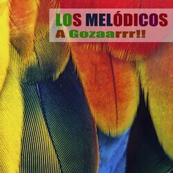 Cover of A Gozaarrr!!