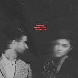 Cover of We Won't
