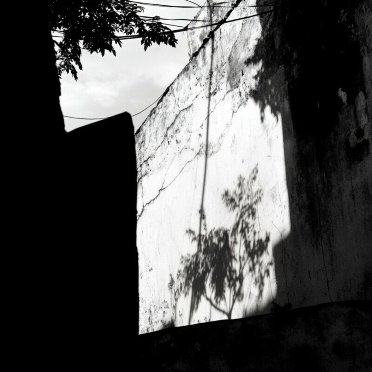 Album cover of Velvet Dusk
