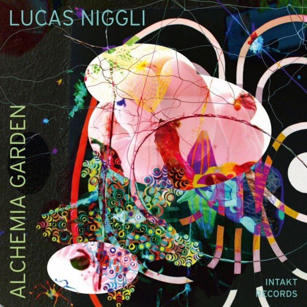 Picture of Alchemia Garden