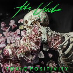 Cover of Toxic Positivity