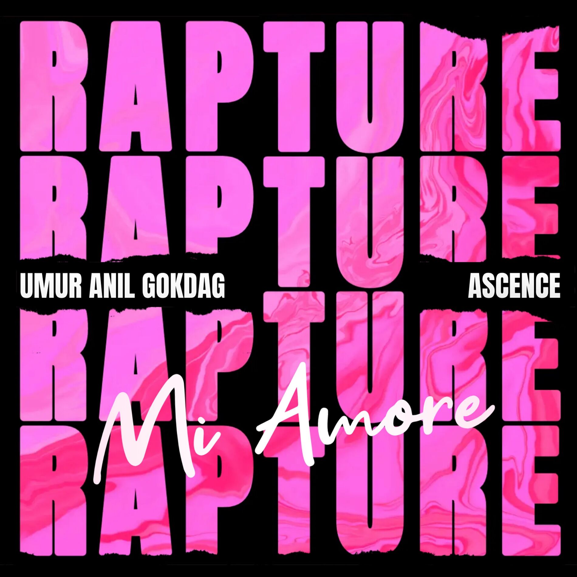 Album cover of Rapture (Mi Amore)