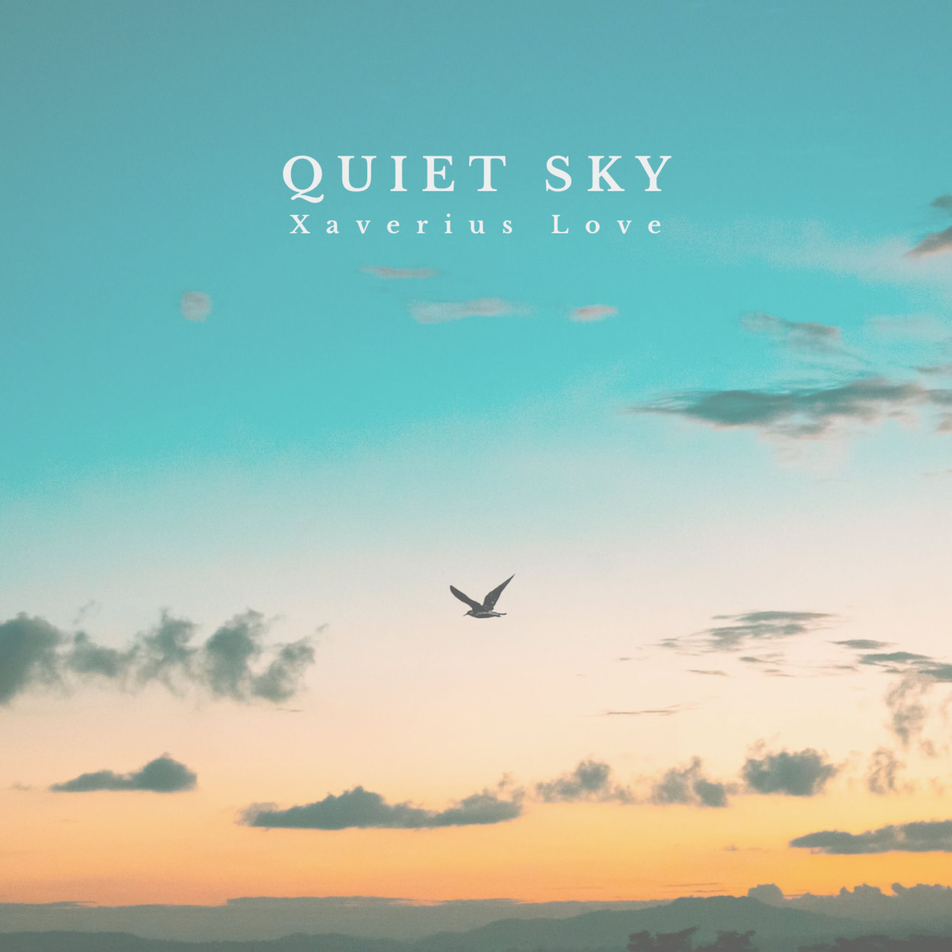 Album cover of Quiet Sky