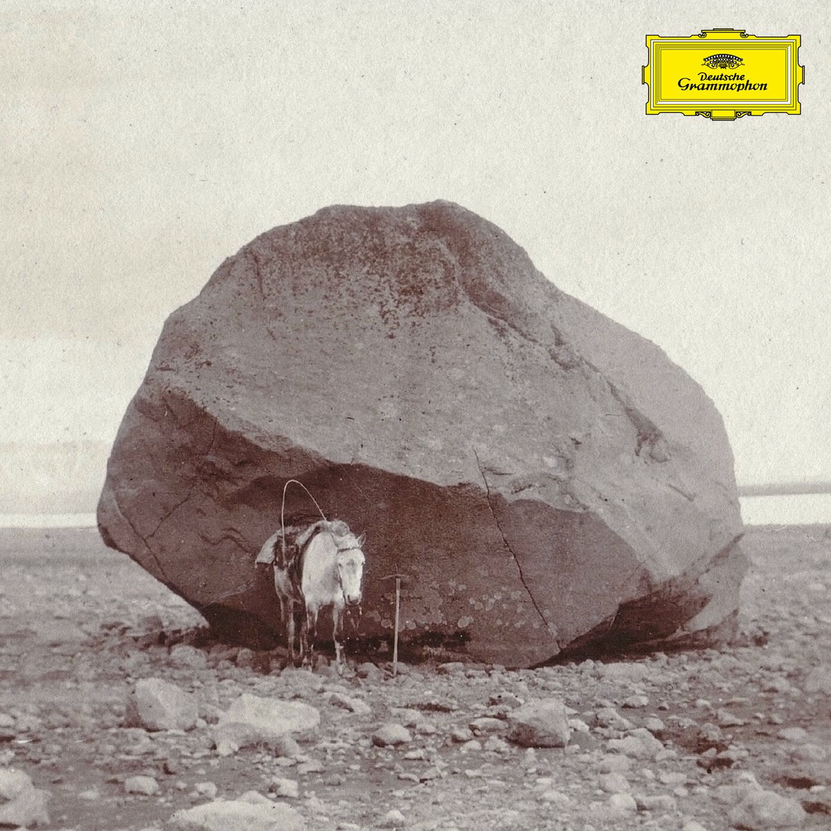 Album cover of With Love, Despite the Pain