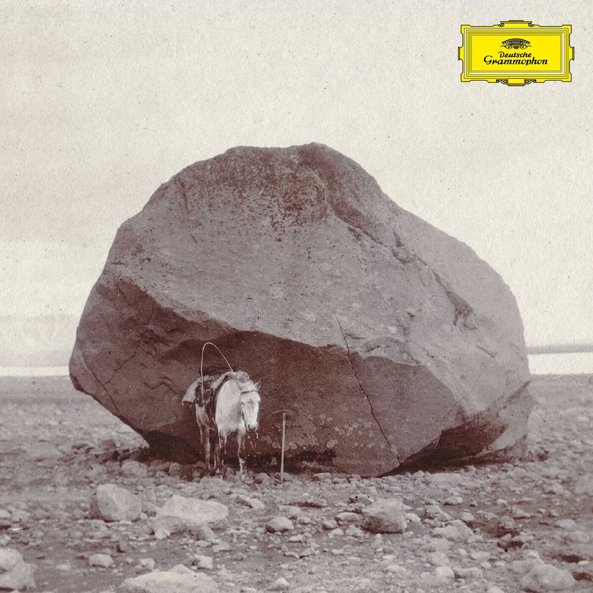 Album cover of Longer shadows, softer stones