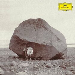 Cover of Longer shadows, softer stones