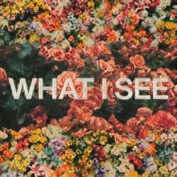 Cover of What I See (feat. Chris Brown)