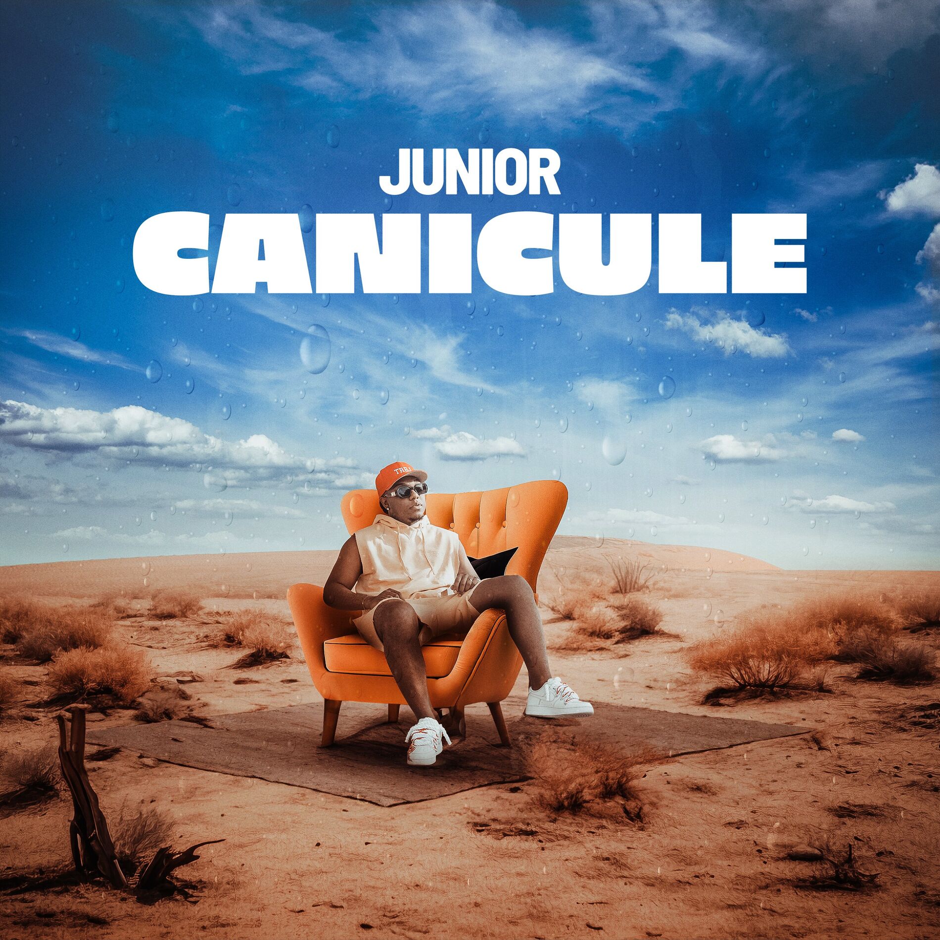Album cover of Canicule