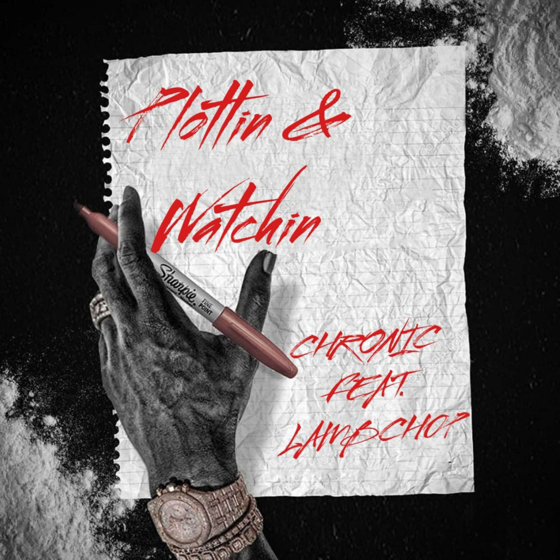 Album cover of Plottin And Watchin
