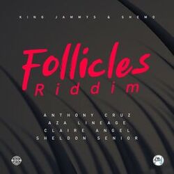 Cover of Follicles Riddim