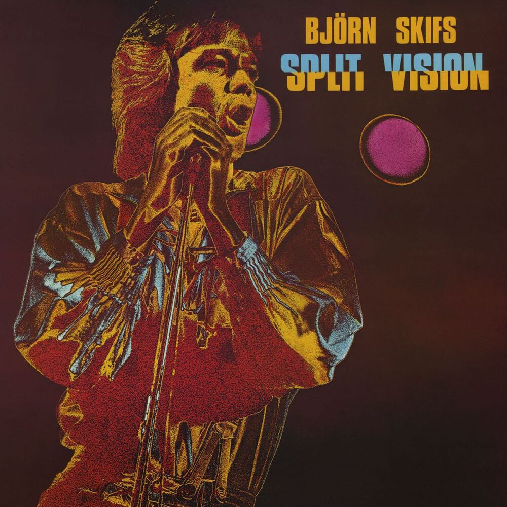 Picture of Split Vision