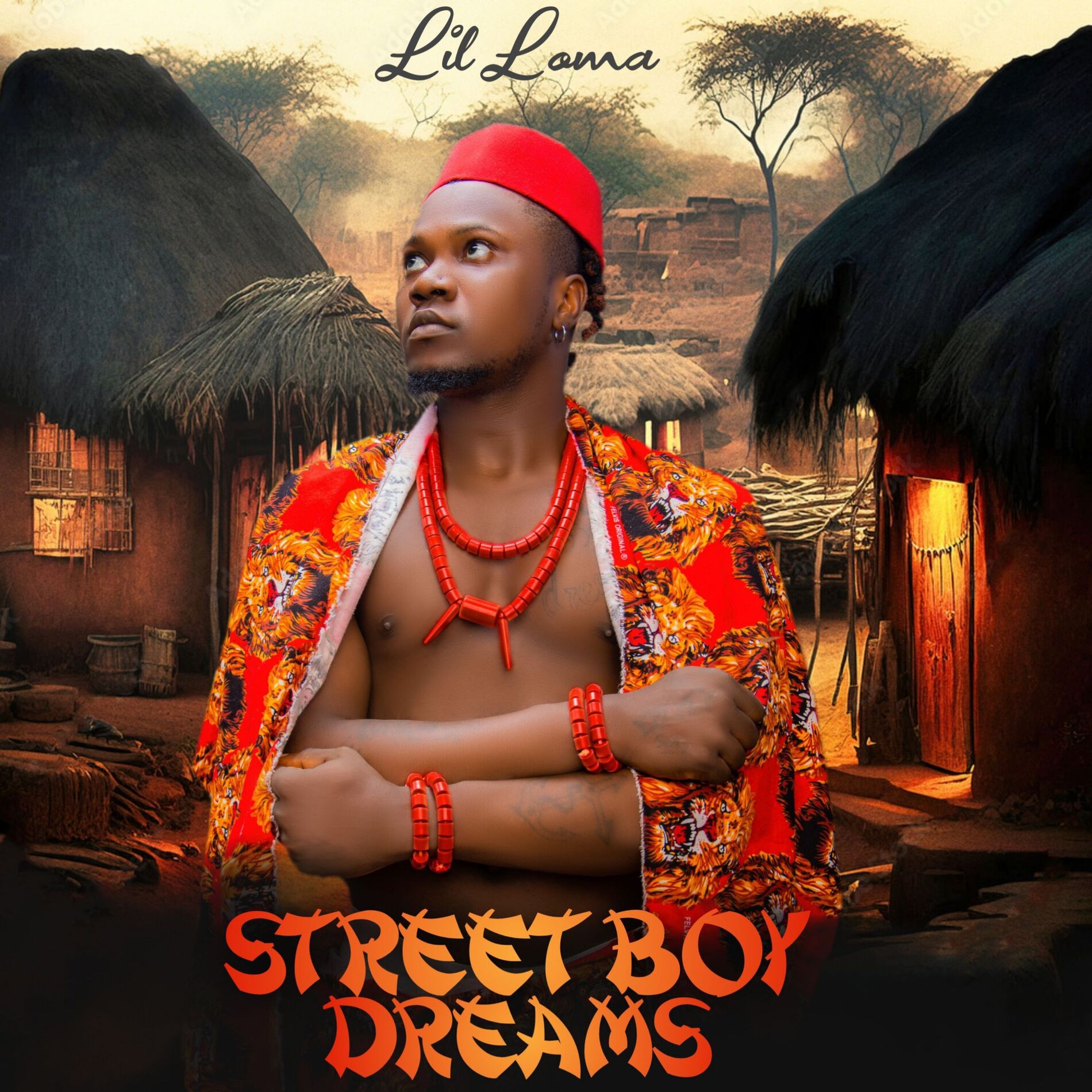 Album cover of Street Boy Dreams