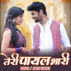 Cover of Teri Payal Bhari