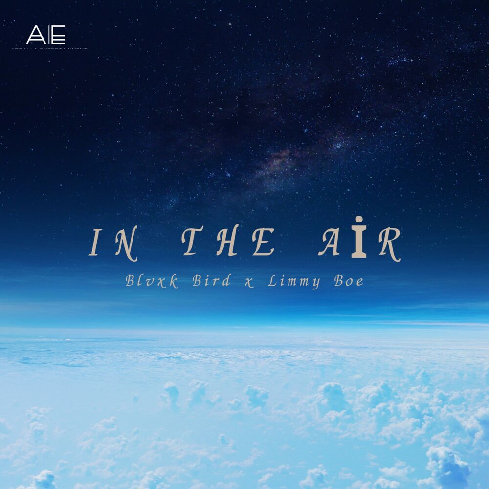 Picture of In The Air