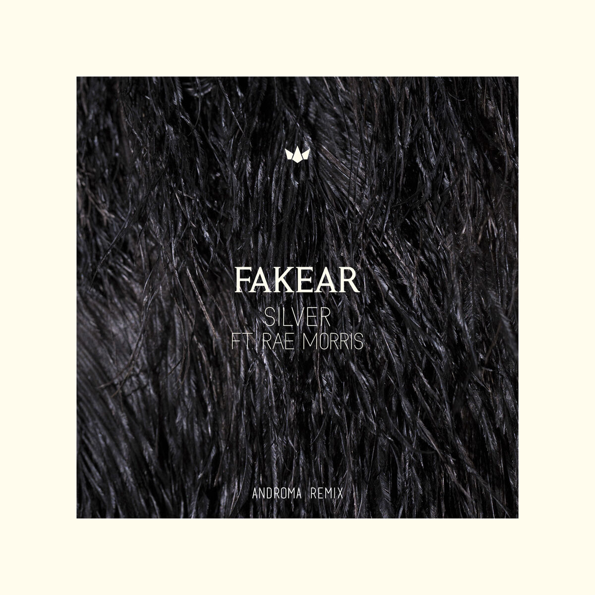 Album cover of Silver (Androma Remix)