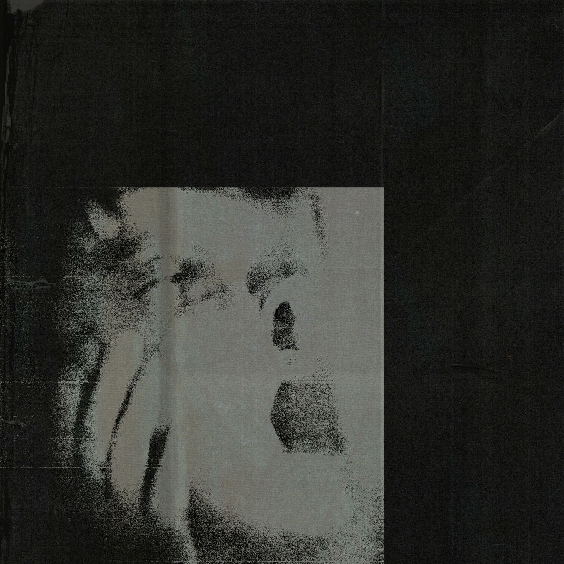 Album cover of Never Exhale