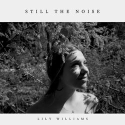 Cover of Still the Noise
