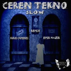 Cover of Slow