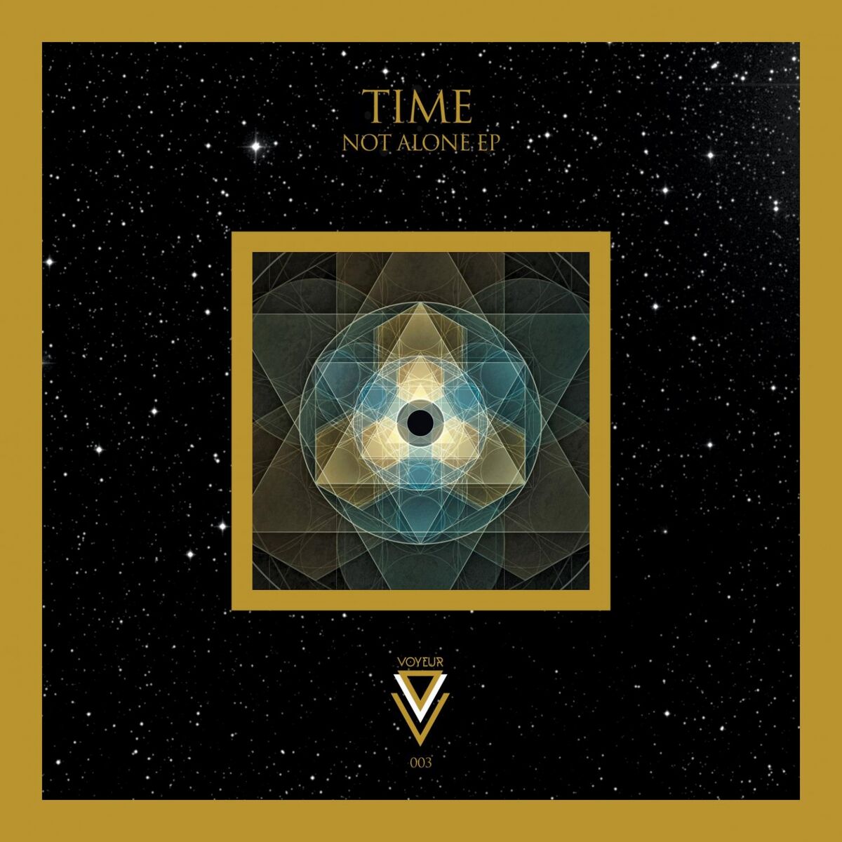 Album cover of Not Alone