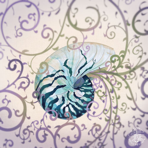 Nautilus