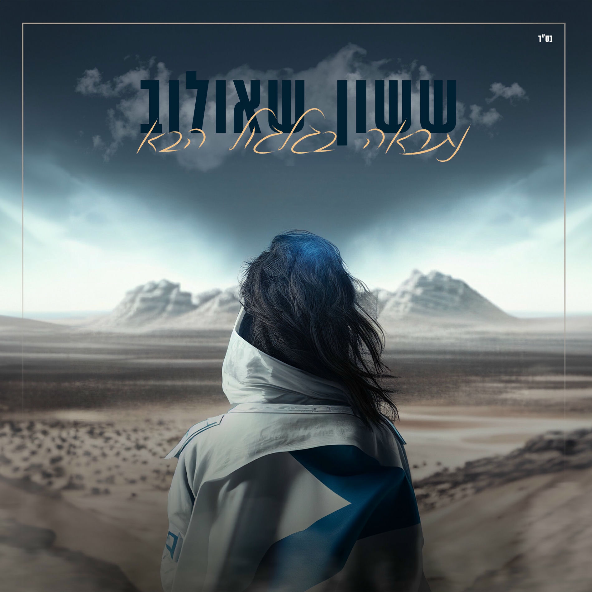 Album cover of נתראה בגלגול הבא