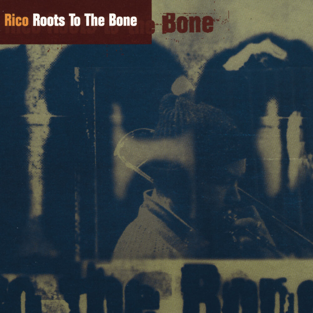 Picture of Roots To The Bone