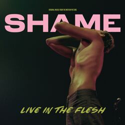 Cover of Live In The Flesh