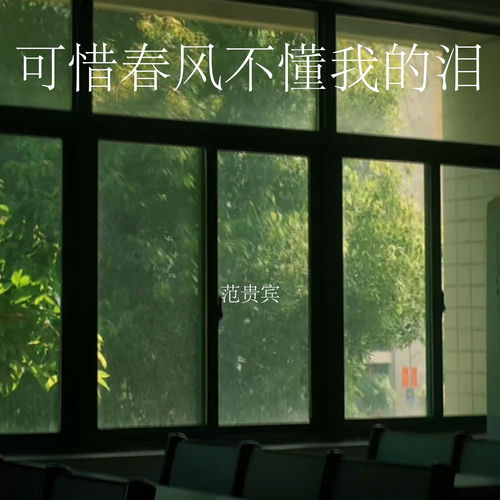 可惜春风不懂我的泪