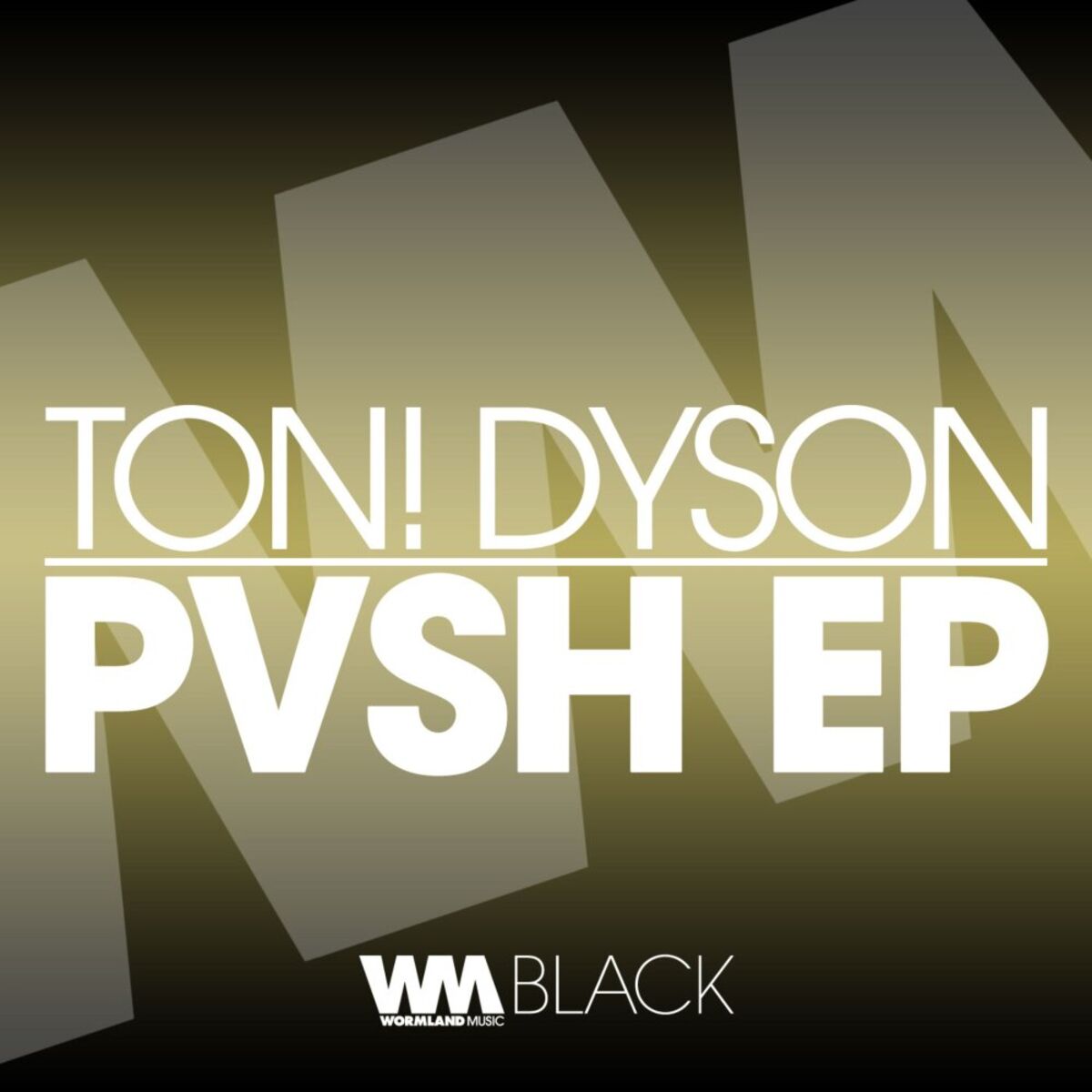 Album cover of PVSH EP