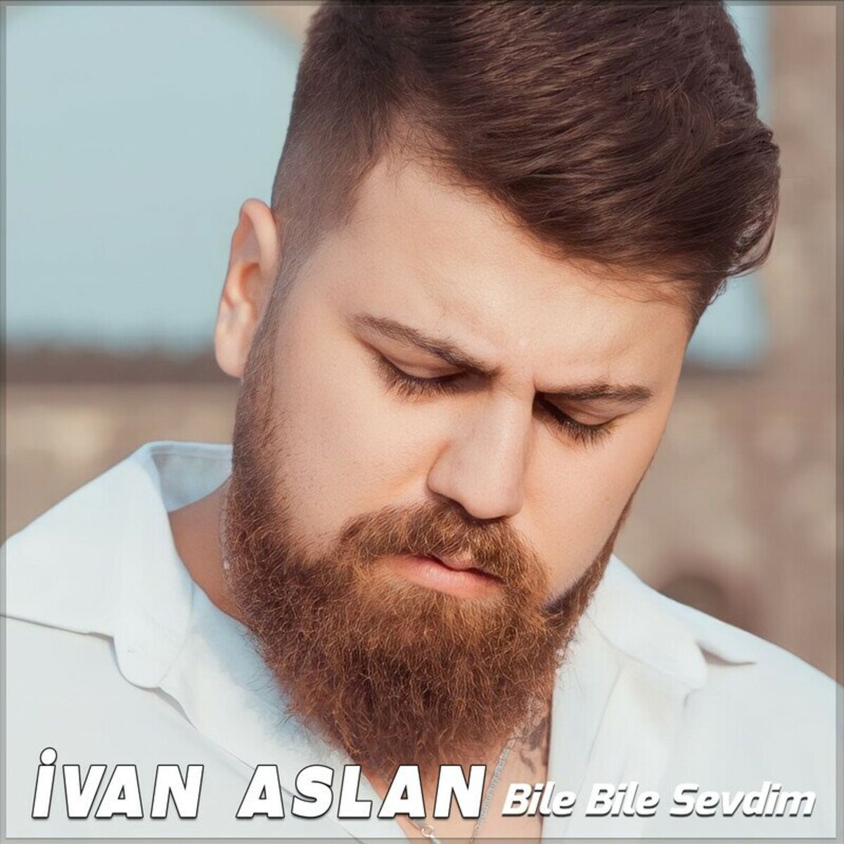 Album cover of Bile Bile Sevdim