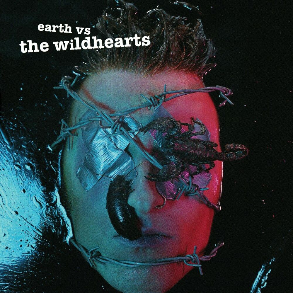 Picture of Earth Versus The Wildhearts