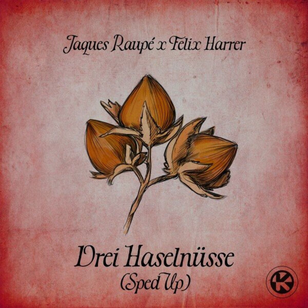 Album cover of 3 Haselnüsse (Sped Up)