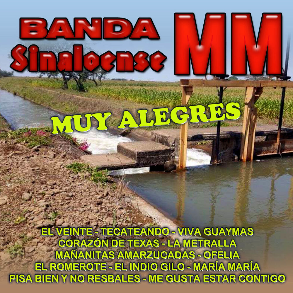 Picture of Muy Alegres, Vol. 1