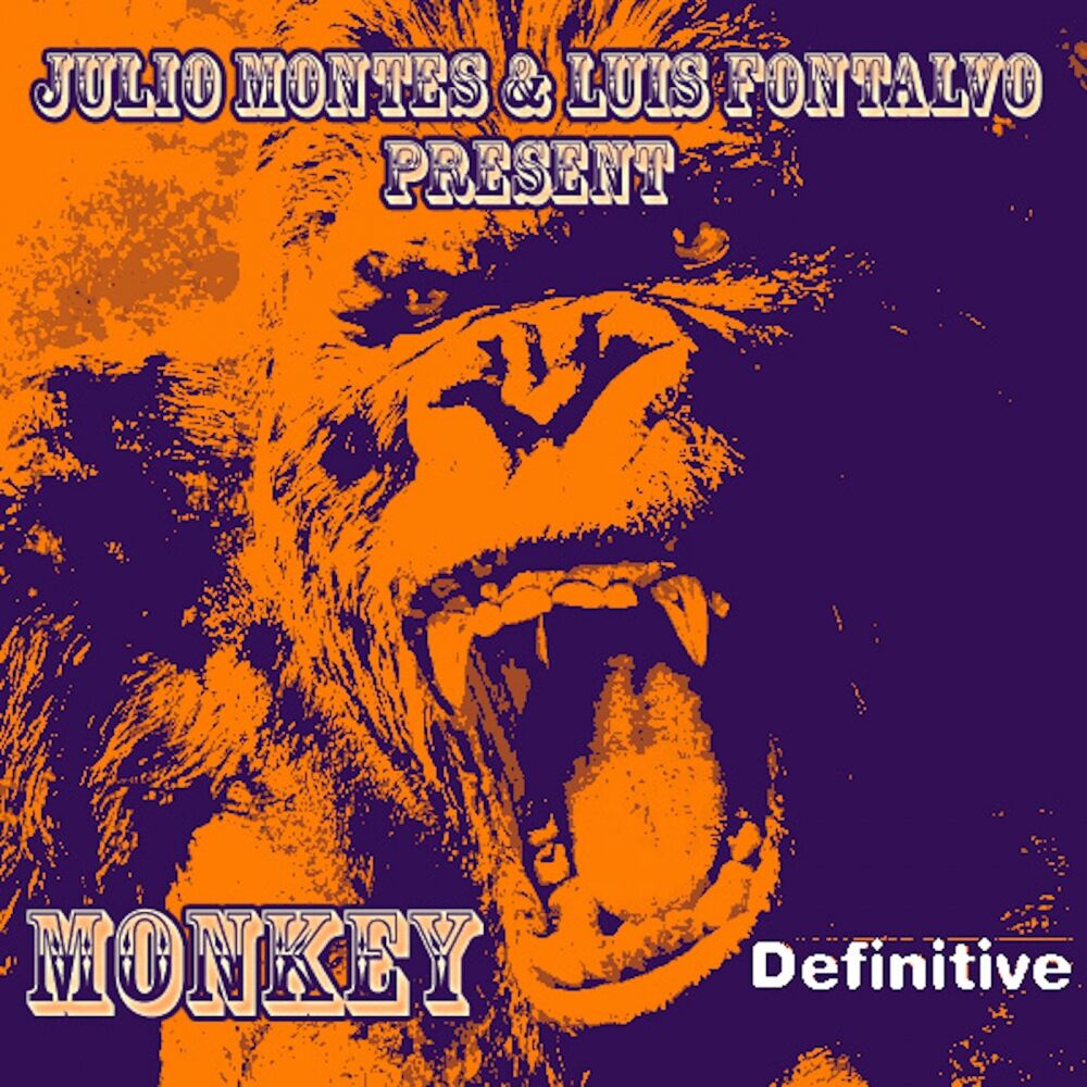 Picture of Monkey