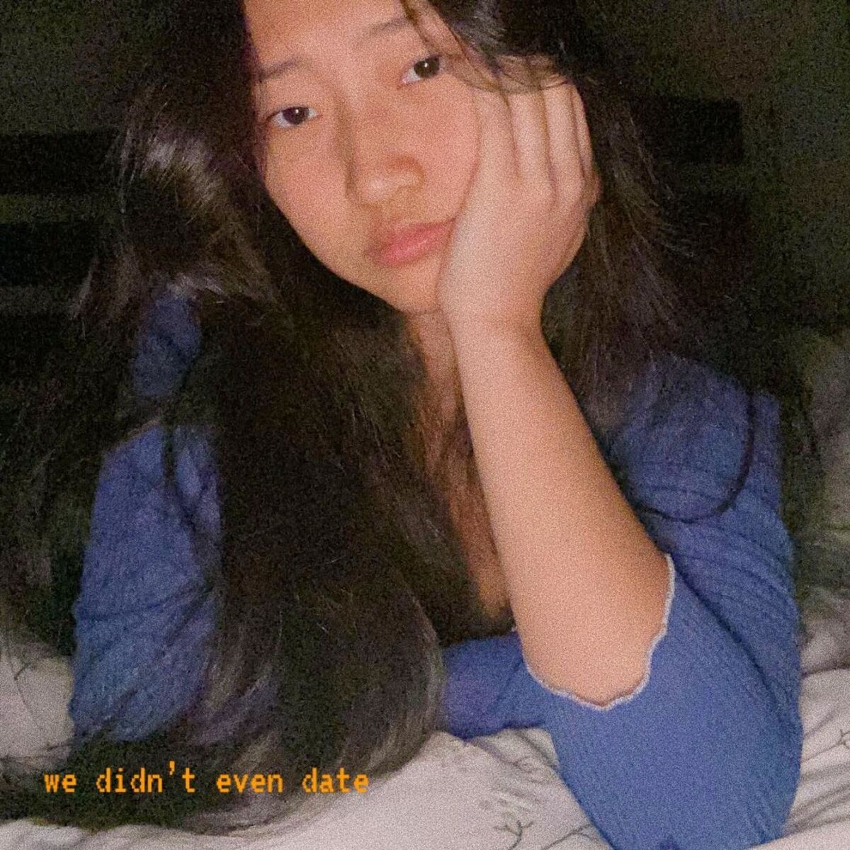 Album cover of We Didn't Even Date