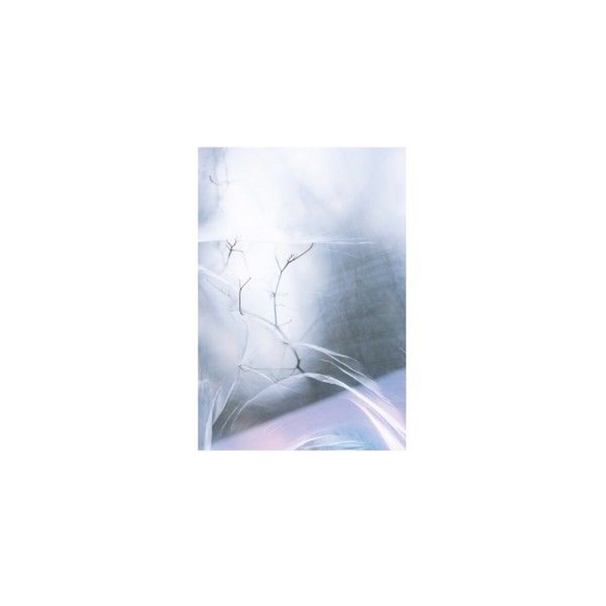 Album cover of Vast