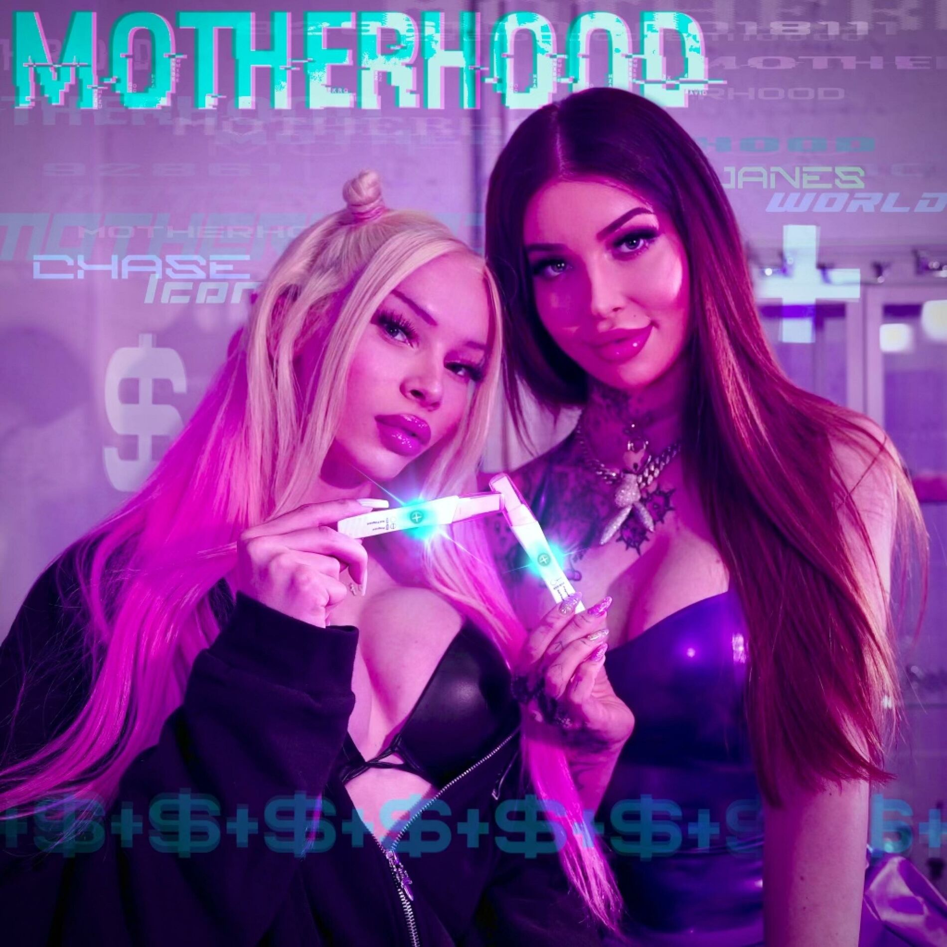 Album cover of Motherhood