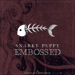 Cover of Embossed