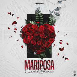 Capa de Mariposa