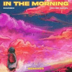 Cover of In The Morning (Remixes)