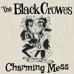 Cover of Charming Mess