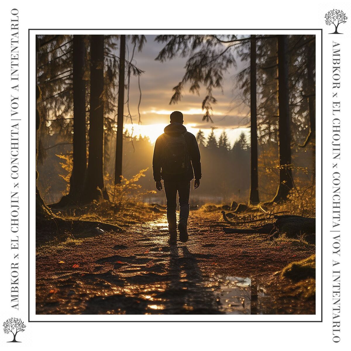 Album cover of VOY A INTENTARLO