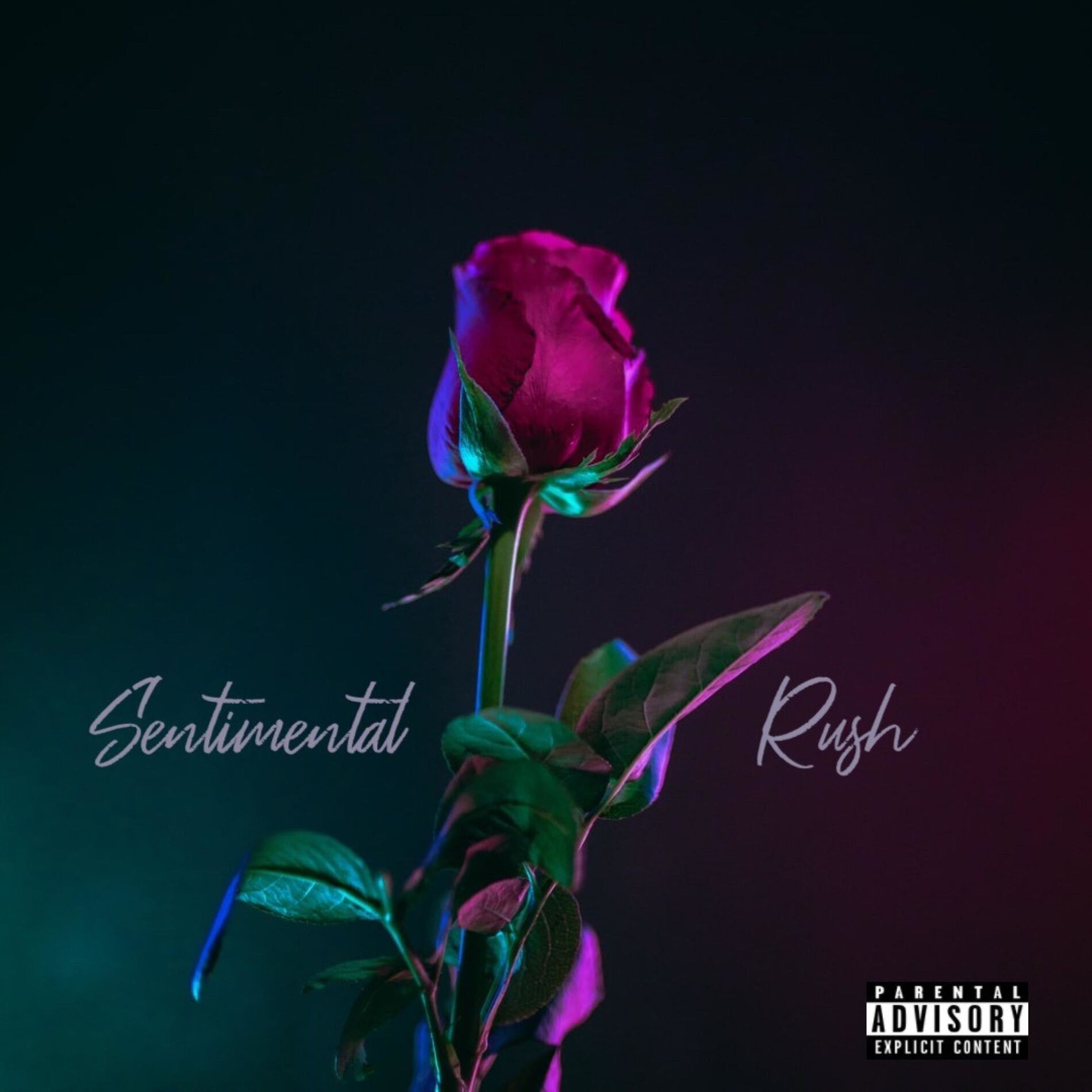 Album cover of Sentimental Rush